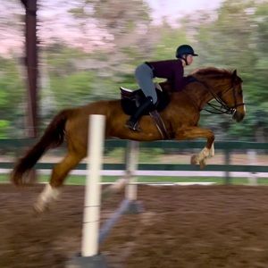 Meet your Posher, Ava